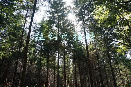 拉钩网招聘
