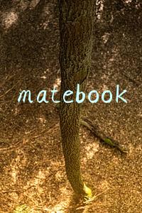 matebook