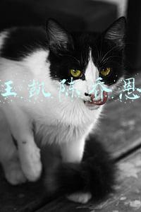 王凯陈乔恩