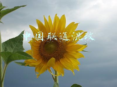 中国联通混改
