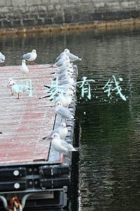 网易有钱记账(网易有钱“全资产记账”逐步走俏，融入现代金融生活)