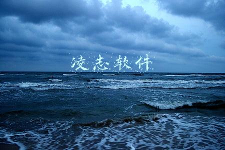 凌志软件