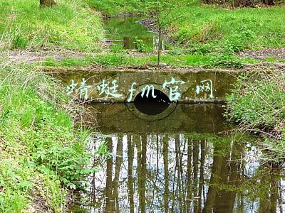 蜻蜓fm官网下载最新版(超八成受访者听音频时遇“软色情”，蜻蜓FM等平台存内容风险)