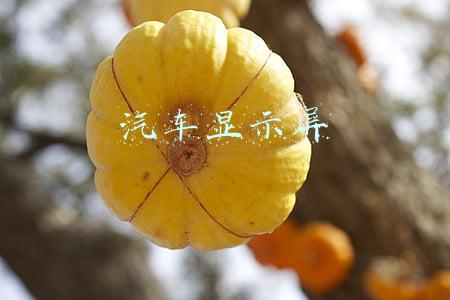 汽车显示屏