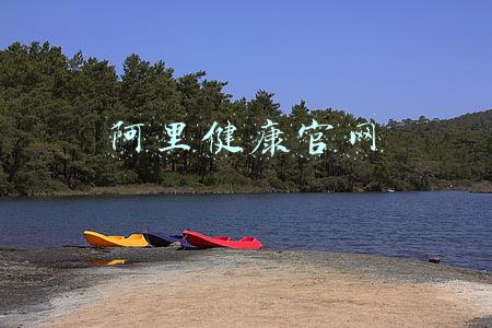 阿里健康官网