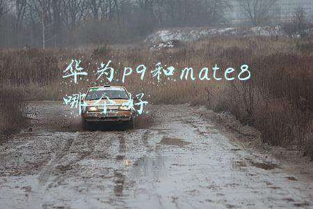 华为p9和mate8哪个好