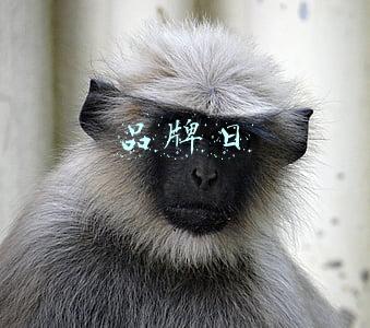 品牌日
