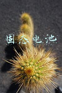 固态电池