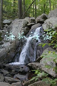 海狐海淘