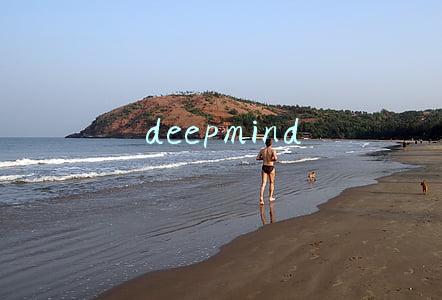 deepmind