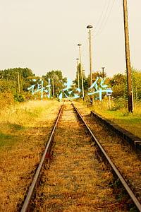 谢志华