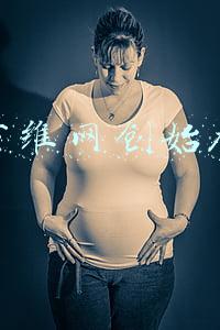 万维网创始人