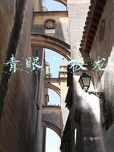 青眼究极龙