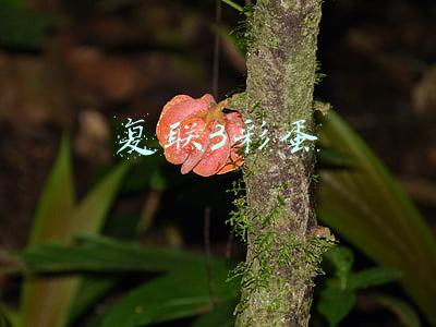 复联3彩蛋