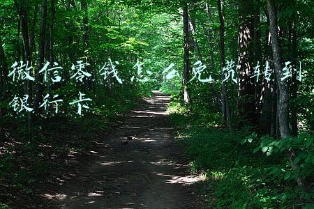 微信零钱怎么免费转到银行卡
