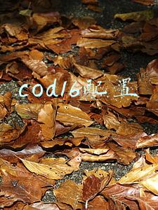 cod16配置