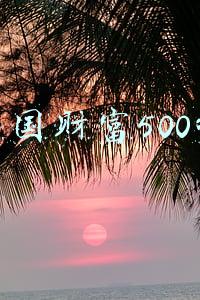 中国财富500强