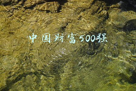 中国财富500强