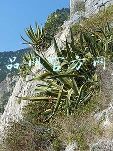 尚品网官方网站 尚品网官方网站