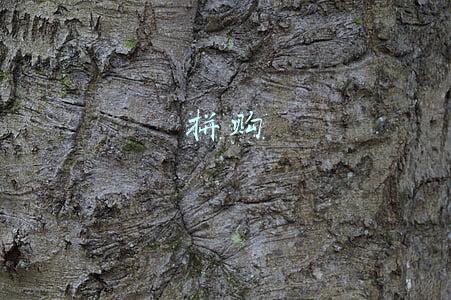 拼购