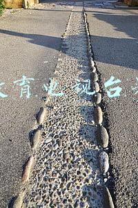 中国教育电视台果实网