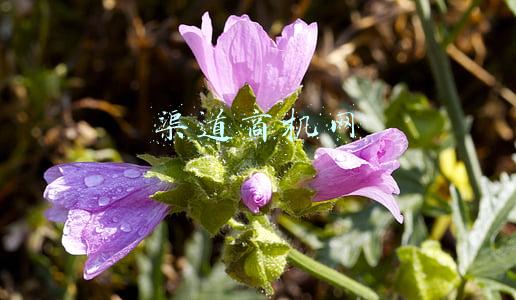 商机渠道(电商冲击之下，探寻实体店的进货新渠道，开辟新商机)