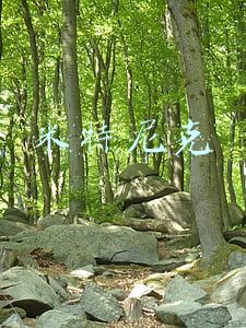 米特尼克