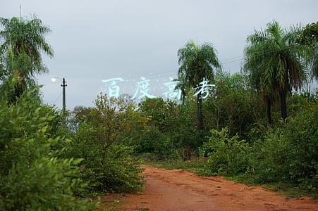 百度高考志愿填报助手(报考神器 手机百度高考志愿填报助手体验)