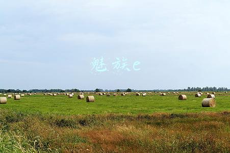 魅族e