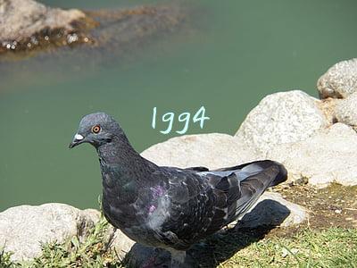 lgg4