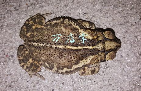 万店掌登录(央视曝光万店掌等公司滥用人脸数据，客户包括科勒、喜茶、小米有品  | 3.15特别报道)
