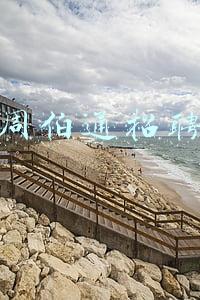 周伯通招聘