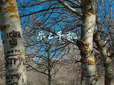 乐2手机