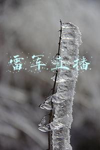 雷军直播带货两小时销售额破亿(雷军直播带货两小时销售额破亿！自曝因头发浓密被质疑是假程序员)