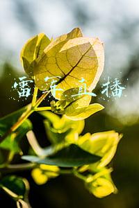 雷军直播数据(雷军首场直播：带货金额破1.88亿)