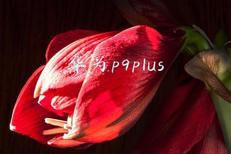 华为p9plus