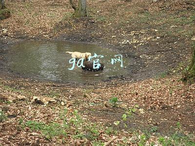 ga官网