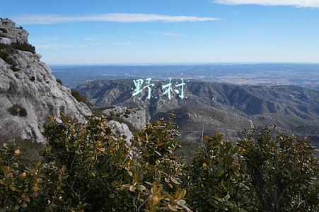 野村