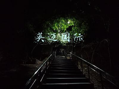 英迈国际
