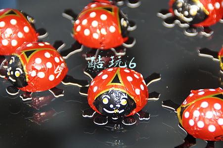 酷玩6