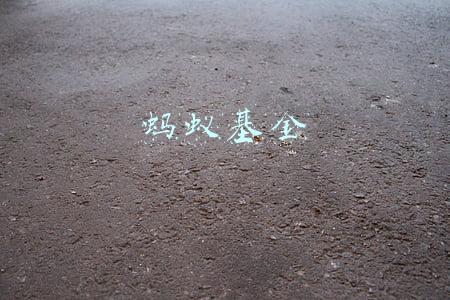 蚂蚁基金官网(关于信达证券股份有限公司旗下参照公募基金运作的大集合 资产管理计划新增蚂蚁（杭州）基金销售有限公司为销售机构的公告)