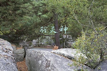 羽灵神