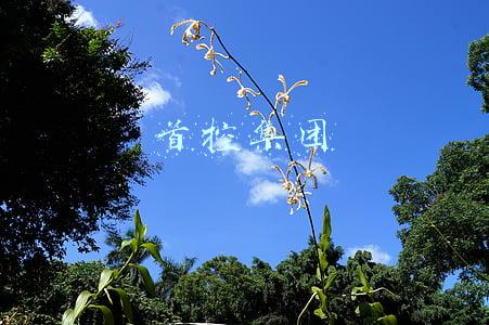 首控集团十大股东(首控集团(01269)发布2021年业绩，股东应占亏损9.68亿元 同比扩大159.1%)