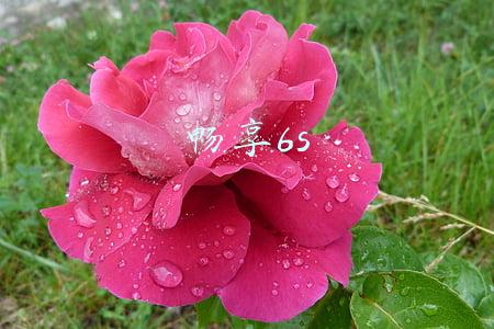 畅享6s双清(华为手机双清教程)