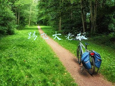 踢飞大老板