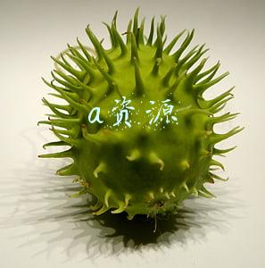a资源