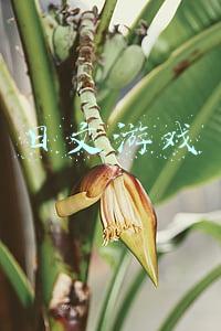 日文游戏