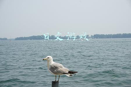 日文游戏
