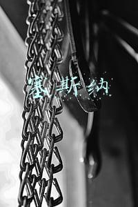 塞斯纳