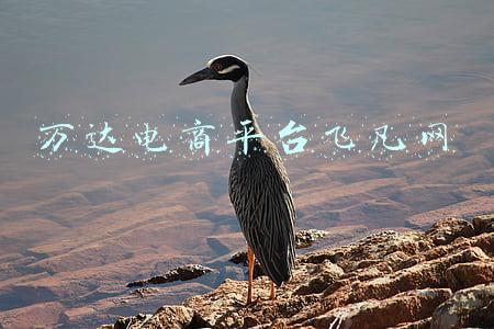 万达电商平台飞凡网